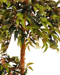 Artificial Ficus Tree Topiary 120cm (4ft)