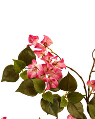 Artificial Pink Bougainvillea Tree 150cm (5ft)