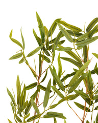 Artificial Bamboo Leaf Stems Set of 5 245cm (8ft)