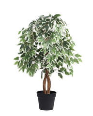 Artificial Variegated Ficus Tree 120cm (4ft)