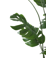 Artificial Monstera Deliciosa Tree 180cm (6ft)