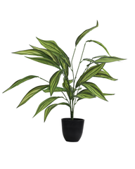 Artificial Striped Dracaena Plant 60cm (2ft)