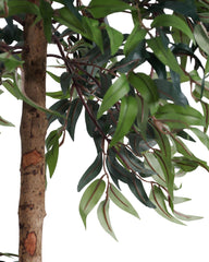 Artificial Ficus Tree Topiary 120cm (4ft)