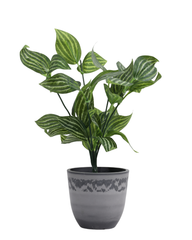 Artificial Striped Foliage Plant Set of 2 25cm (1ft)