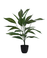 Artificial Striped Foliage Plant 60cm (2ft)