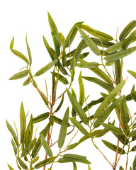 Artificial Bamboo Leaf Stems Set of 5 150cm (5ft)