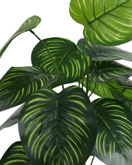 Artificial Philodendron Gloriosum Plant 60cm (2ft)
