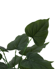 Artificial Broad Leaf Philodendron Plant 45cm (1.5ft)