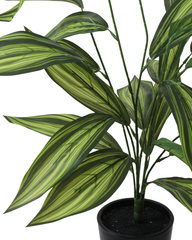 Artificial Striped Dracaena Plant 60cm (2ft)