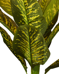 Artificial Variegated Dumb Cane Plant 90cm (3ft)