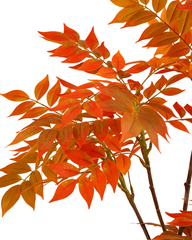 Artificial Autumn Feathery Leaf Tree 150cm (5ft)