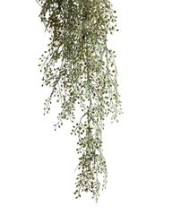 Artificial String of Hearts Trailing Vine 100cm (3ft)