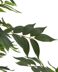 Artificial Feathery Leaf Tree Plant 150cm (5ft)