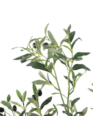 Artificial Mediterranean Olive Tree 150cm (5ft)