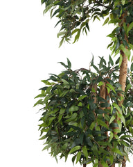 Artificial Ficus Double Tree Topiary 168cm (5.5ft)