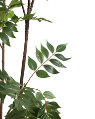 Artificial Feathery Leaf Tree Plant 150cm (5ft)
