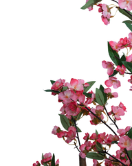 Artificial Striped Prayer Plant Calathea 120cm (4ft)