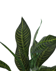 Artificial Striped Foliage Plant 60cm (2ft)