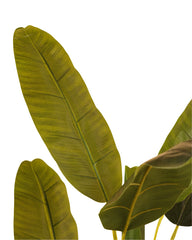 Artificial Banana Tree Plant 150cm (5ft)