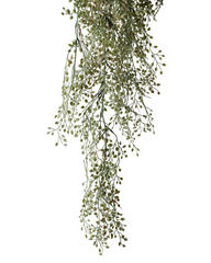 Artificial String of Hearts Trailing Vine 100cm (3ft)