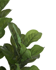 Artificial Fiddle Leaf Fig Bush 150cm (5ft)
