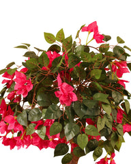Artificial Pink Bougainvillea Topiary 150cm (5ft)