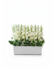 Wide White Dried Floral Trough Planter With Pot