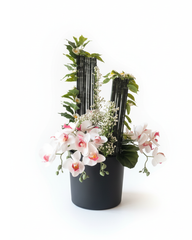 Pink Orchid & Bamboo Dried Floral Arrangement With Pot