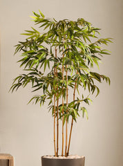 Alamkari India Fabric Artificial Bamboo Plant in Black Pot (150 cm)