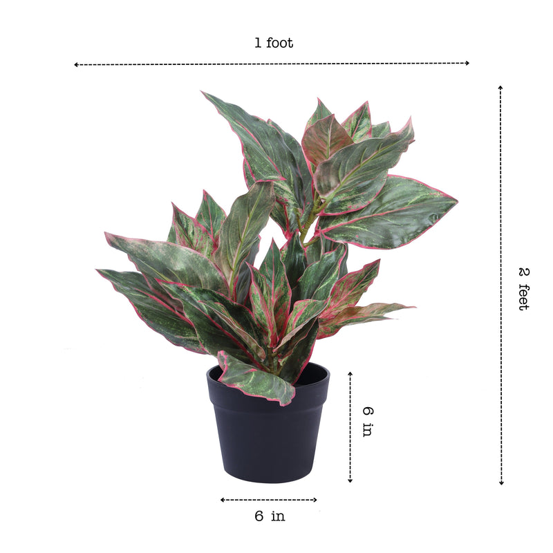 Alamkari India Fabric Artificial Green Dieffenbachia Potted Plant (60 cm)