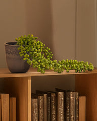 Alamkari India Fabric Artificial Hanging Succulent Vine (46 cm)