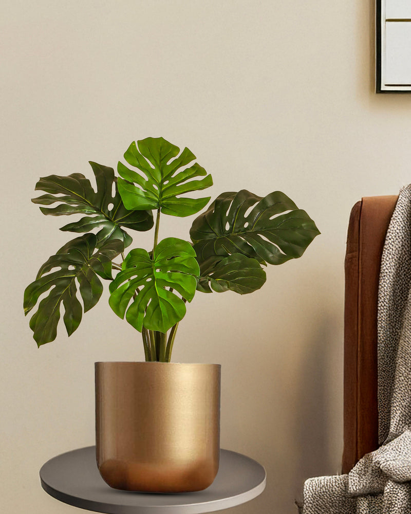 Alamkari India Fabric Artificial Monstera Plant in Black Pot (55 cm)