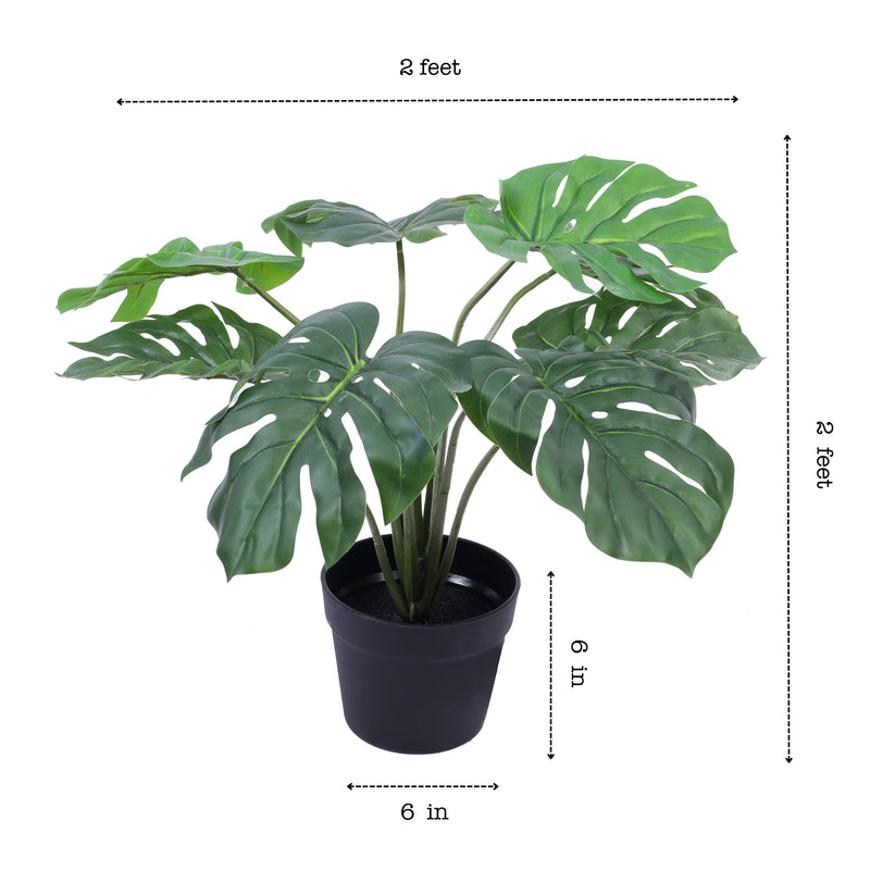 Alamkari India Fabric Artificial Monstera Plant in Black Pot (55 cm)