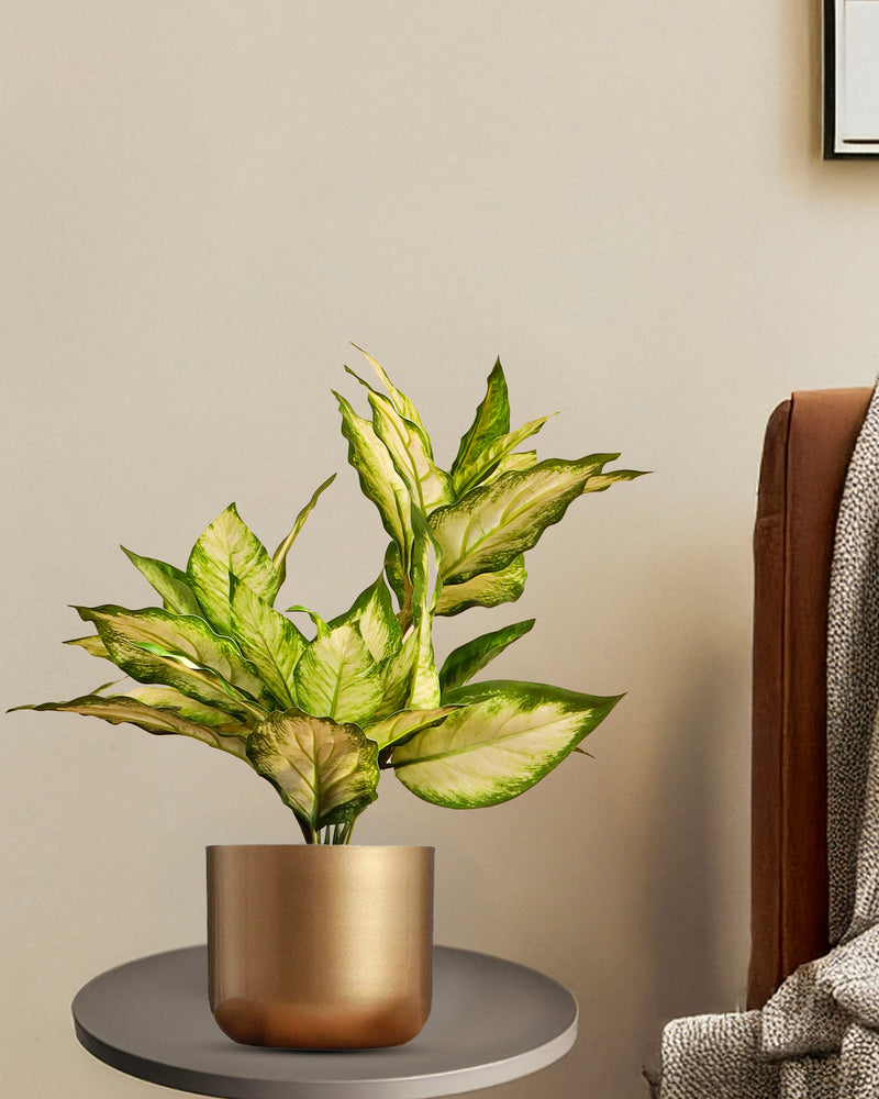 Alamkari India Fabric Artificial Pink Dieffenbachia Potted Plant (60 cm)