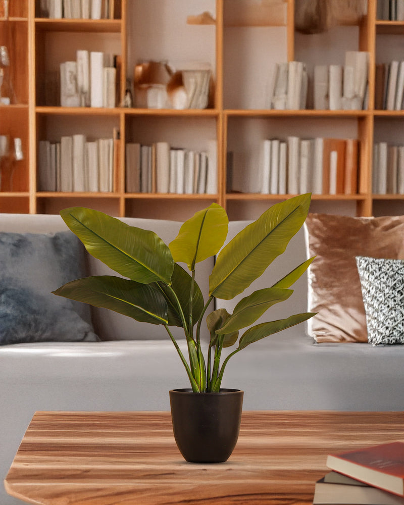 Alamkari India Fabric Artificial Potted Banana Plant (50 cm)