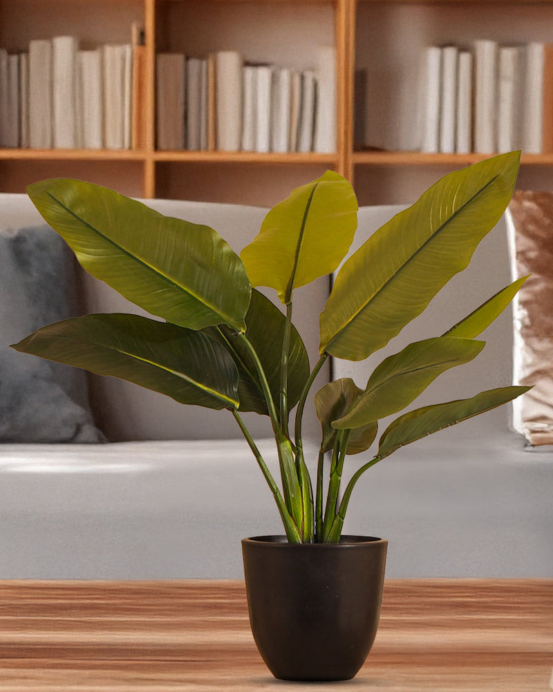 Alamkari India Fabric Artificial Potted Banana Plant (50 cm)