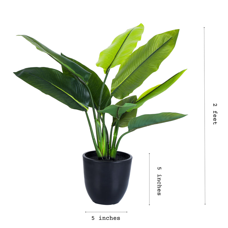 Alamkari India Fabric Artificial Potted Banana Plant (50 cm)