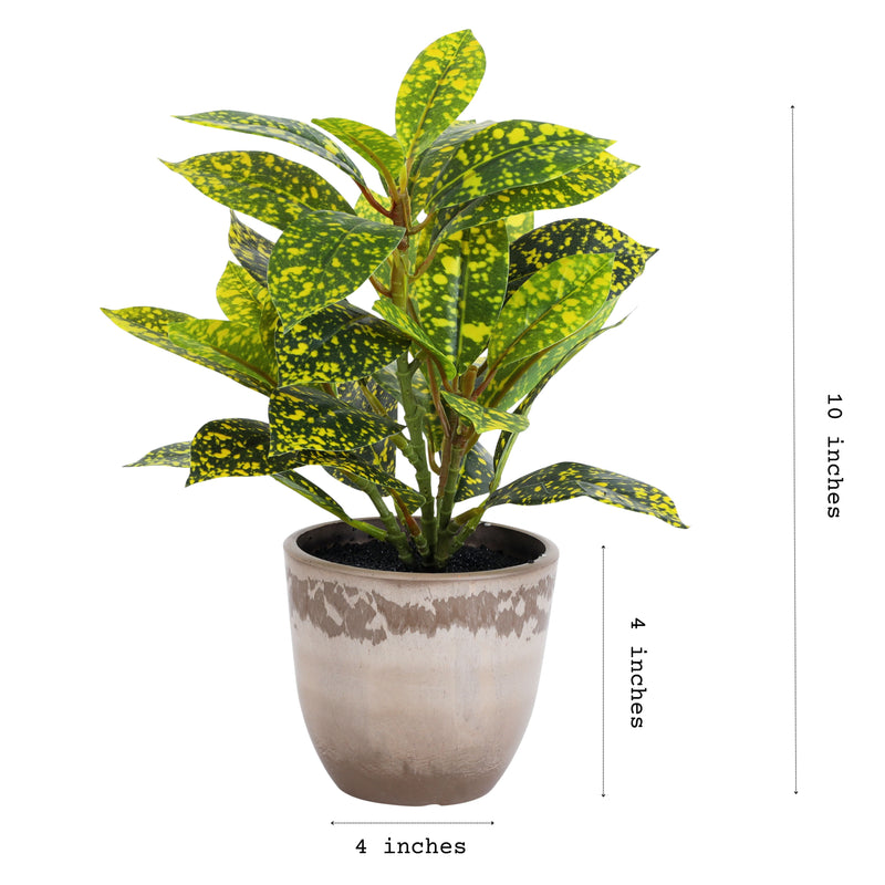 Alamkari India Fabric Artificial Potted Croton Plants (30 cm, Set of 2)