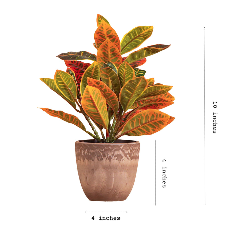 Alamkari India Fabric Artificial Potted Croton Plants (30 cm, Set of 2)