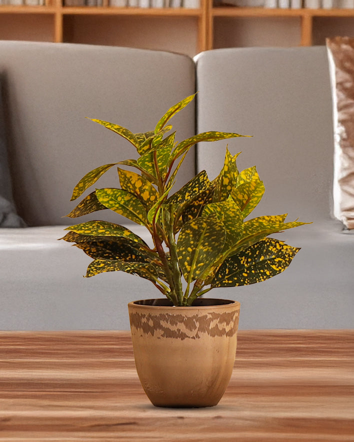 Alamkari India Fabric Artificial Potted Croton Plants (Green, 30 cm, Set of 2)