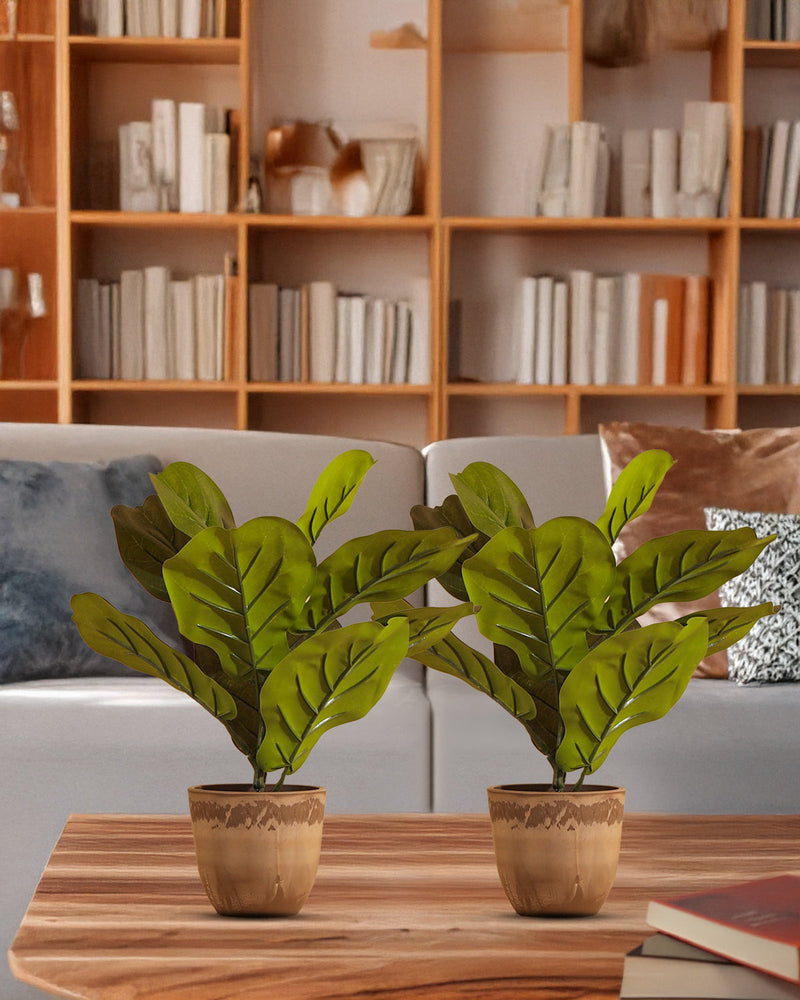Alamkari India Fabric Artificial Potted Fiddle Leaf Fig Plants (35 cm, Set of 2)