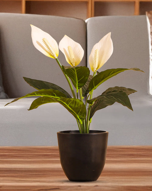Alamkari India Fabric Artificial Potted Peace Lily Plant (40 cms)