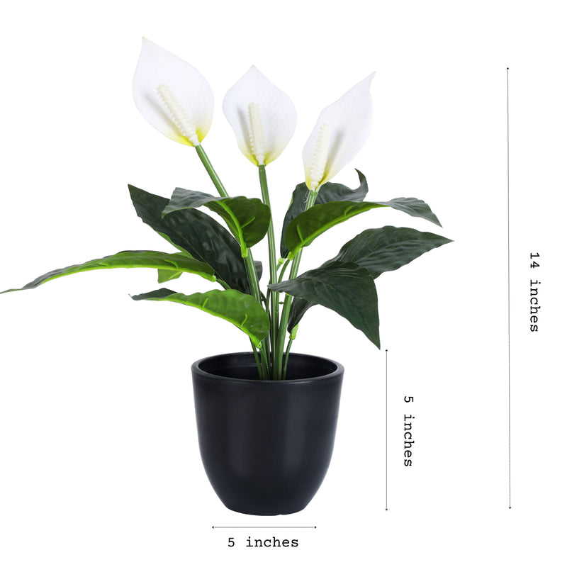 Alamkari India Fabric Artificial Potted Peace Lily Plant (40 cms)
