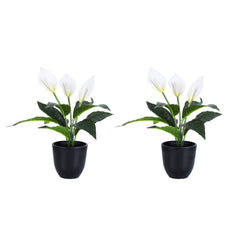 Alamkari India Fabric Artificial Potted Peace Lily Plant (40 cms, Set of 2)