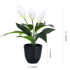 Alamkari India Fabric Artificial Potted Peace Lily Plant (40 cms, Set of 2)