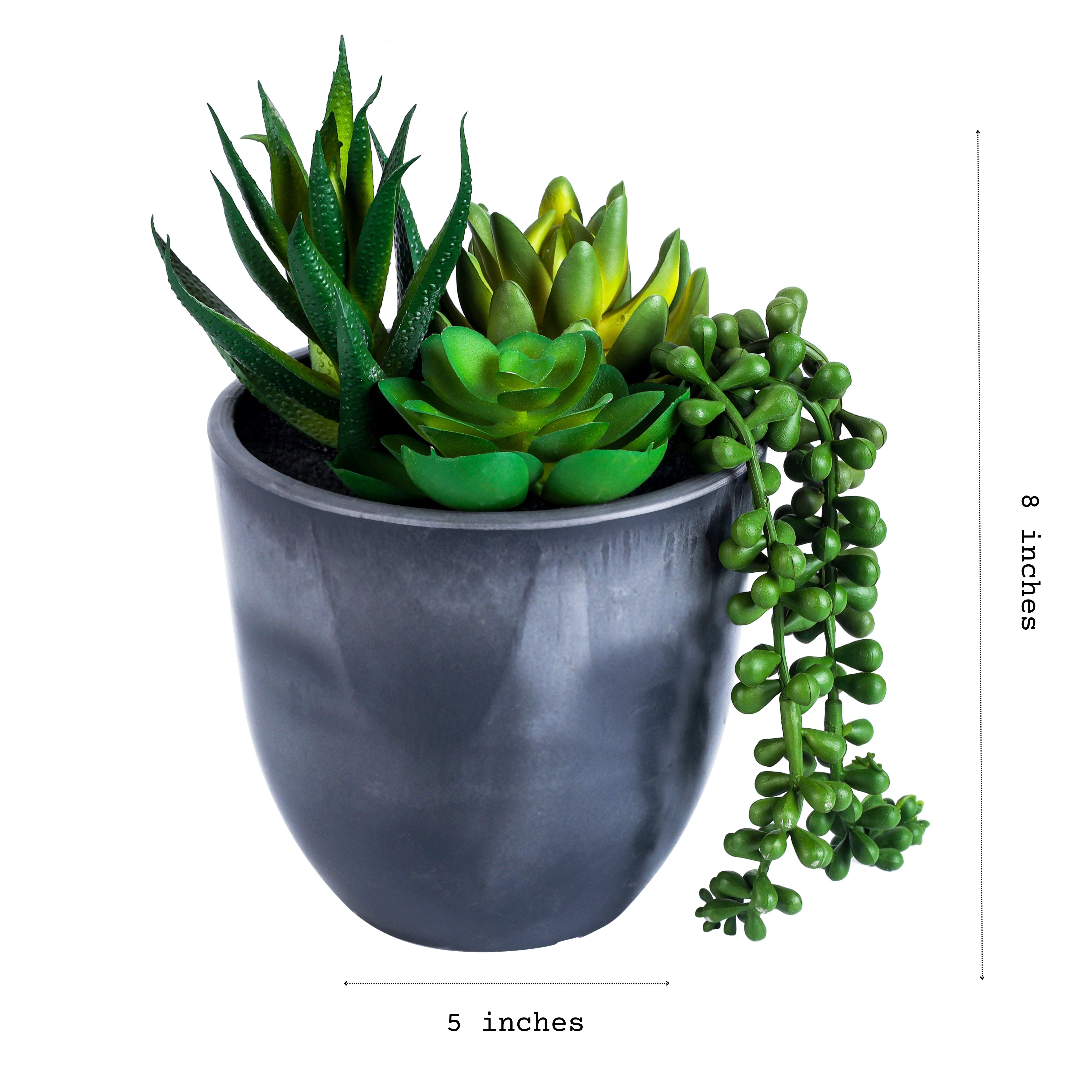 Alamkari India Fabric Artificial Potted Succulent (20 cm)