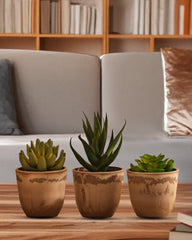 Alamkari India Fabric Artificial Potted Succulents (Set of 3)