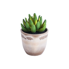 Alamkari India Fabric Artificial Potted Succulents (Set of 3)