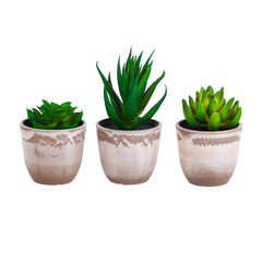 Alamkari India Fabric Artificial Potted Succulents (Set of 3)