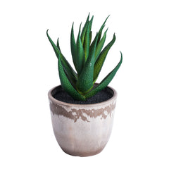 Alamkari India Fabric Artificial Potted Succulents (Set of 3)